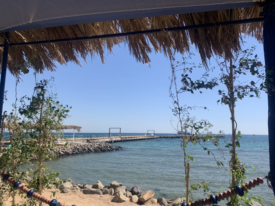 Ausblick Desert Rose