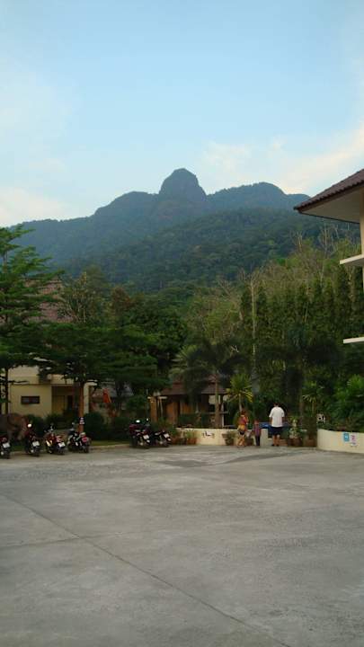 Вид от входа в отель Paddy's Palms Resort