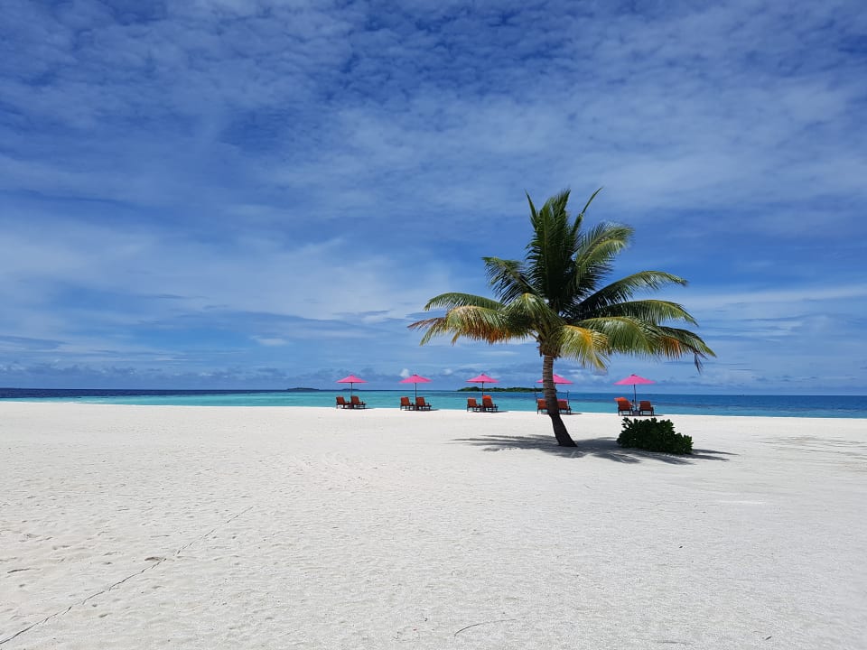 Strand Sun Siyam Vilu Reef