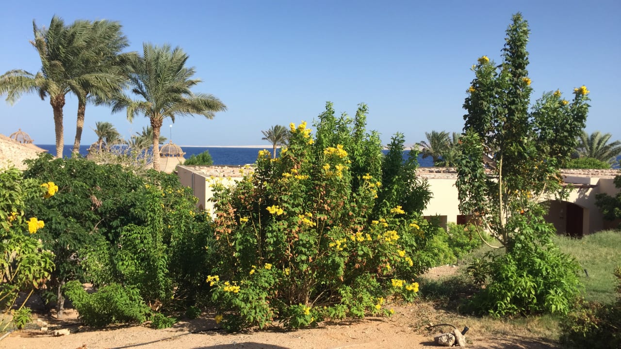 Ausblick Parrotel Beach Resort