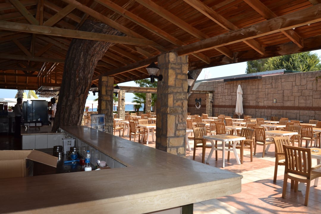 Бар у пляжа - вид от бассейна Armas Gül Beach