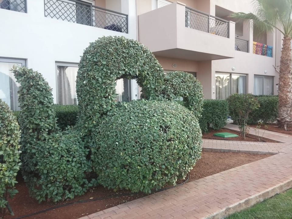 Süß :-) Grand Hotel Holiday Resort