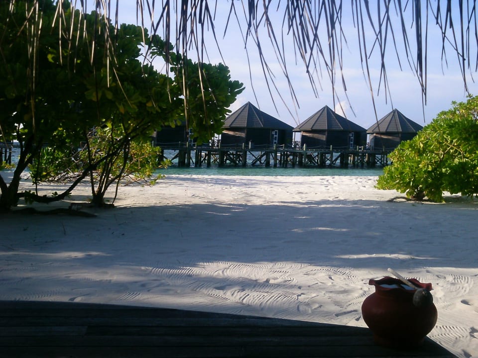 Blick aus unserem Beachbungalow Kuredu Island Resort & Spa