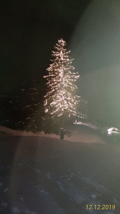 Garten Säntis - das Hotel