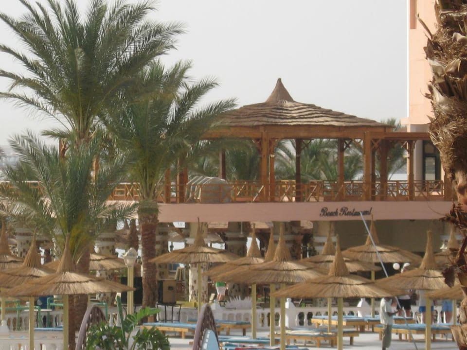 Poolareal Beach Albatros Resort