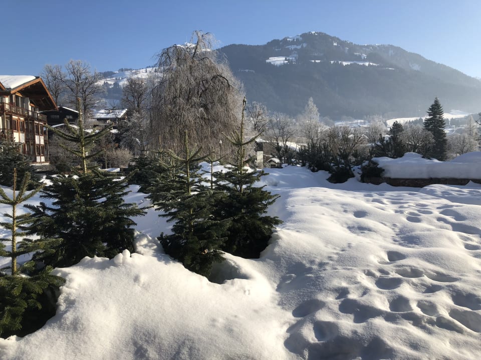 Ausblick Hotel Kitzhof Mountain Design Resort
