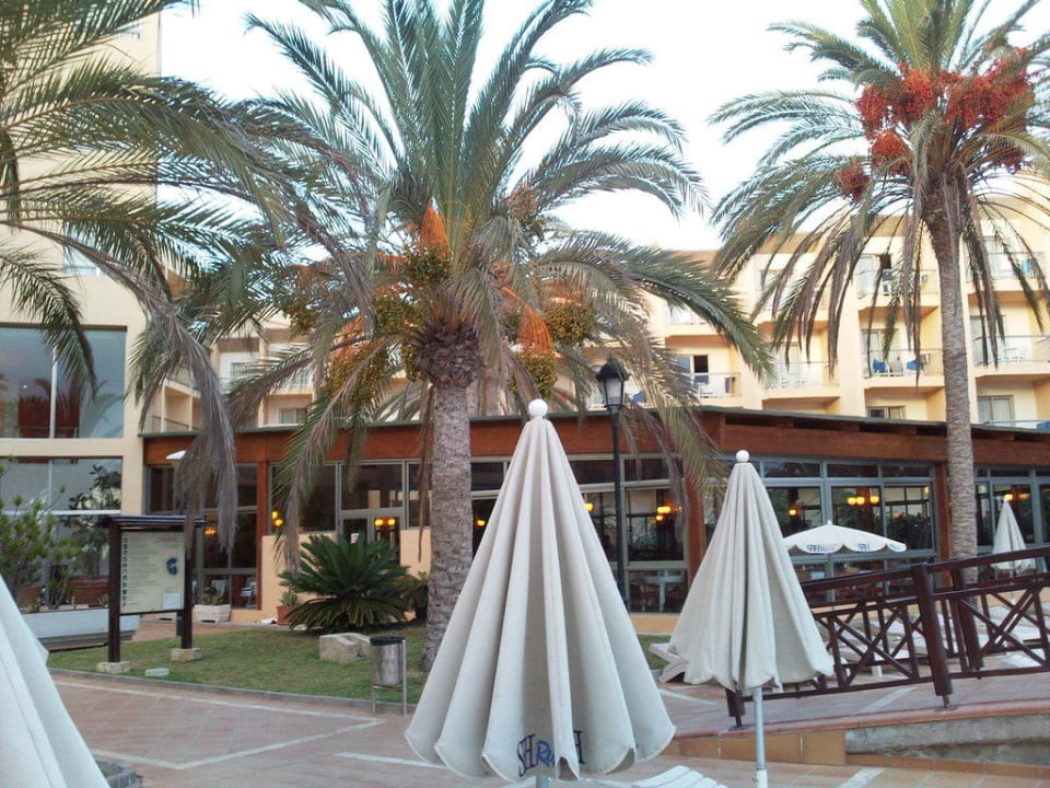 Essen im Wintergarten SBH Costa Calma Beach Resort