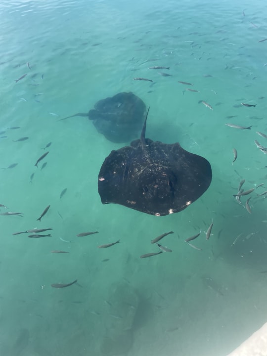 Sonstiges Hotel Riu Palace Jandia