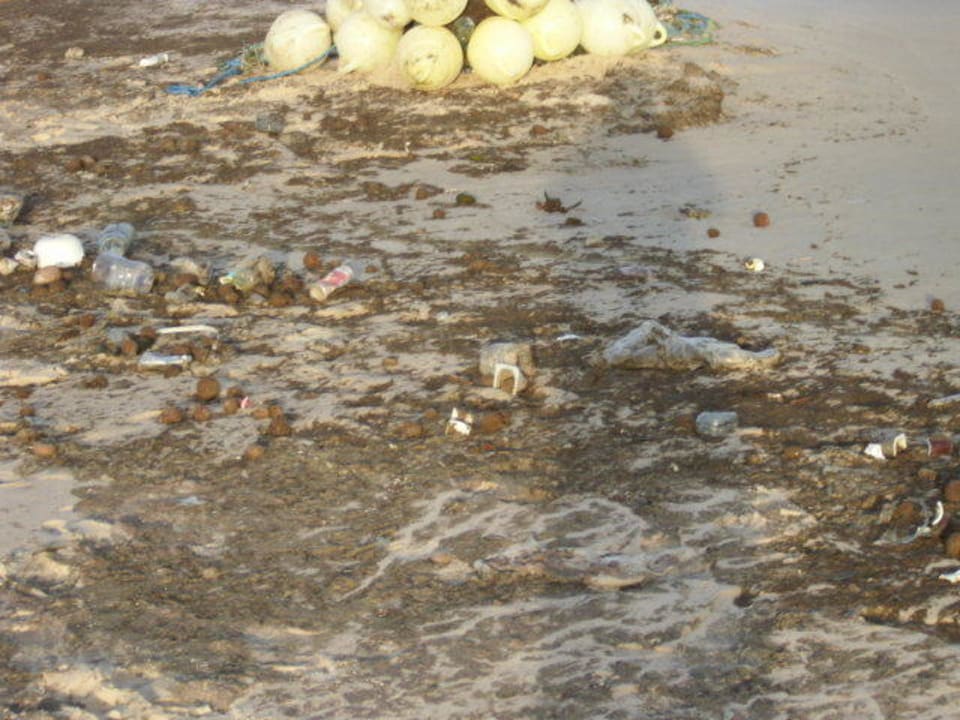 Strand dreckig Medina Solaria & Thalasso