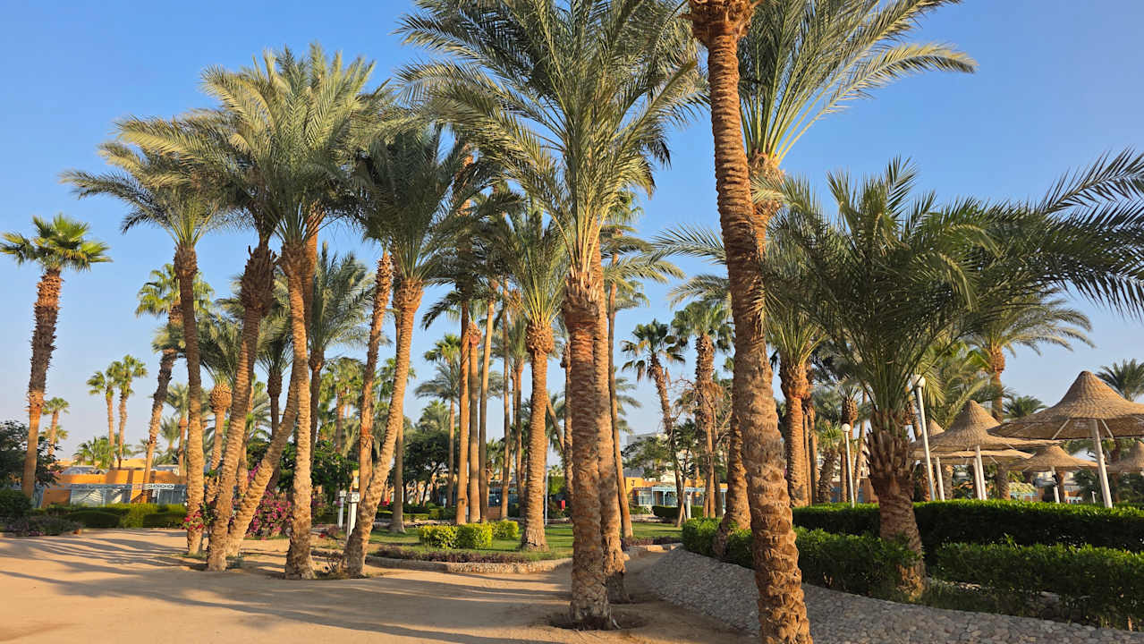 Ausblick Giftun Azur Resort