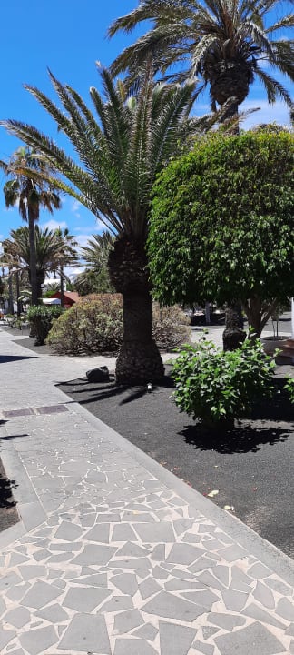 Gartenanlage allsun App.-Hotel Albatros