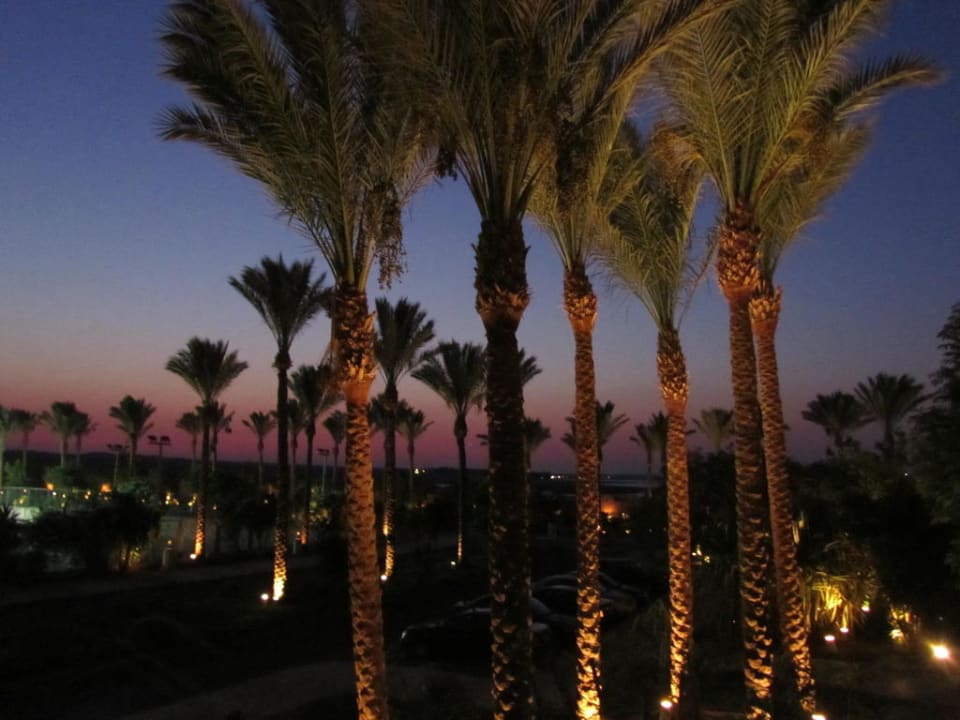 Wunderschön! Makadi Palace