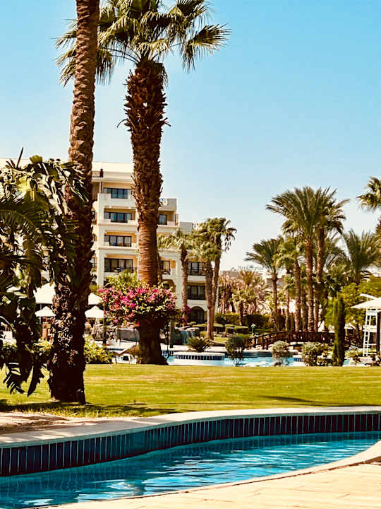 Gartenanlage Steigenberger ALDAU Beach Hotel