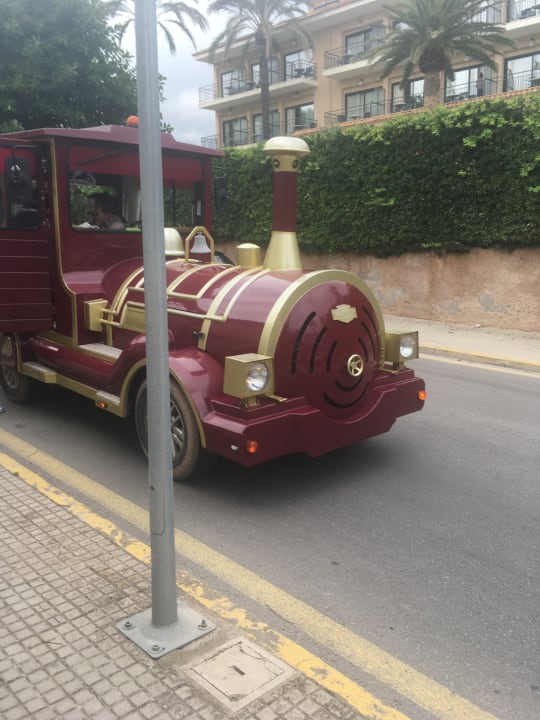 Sonstiges Son Moll Sentits Hotel & Spa