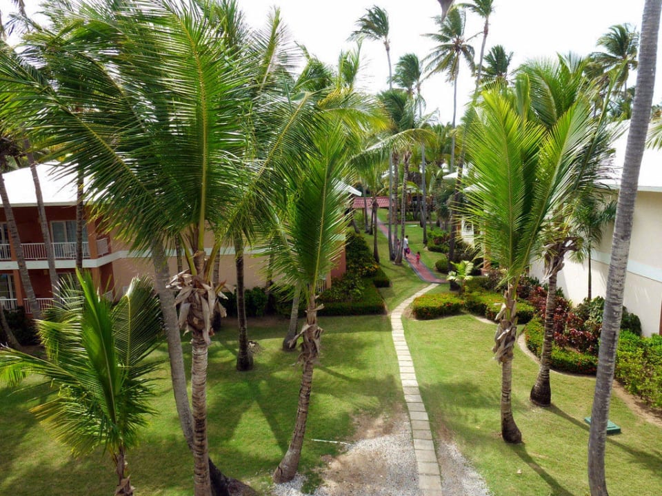 Royal TRS Turquesa Hotel - Adults only