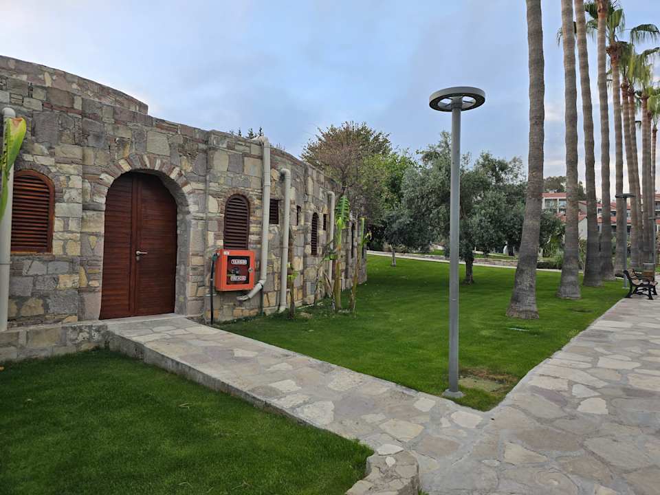 Sonstiges Arum Barut Collection