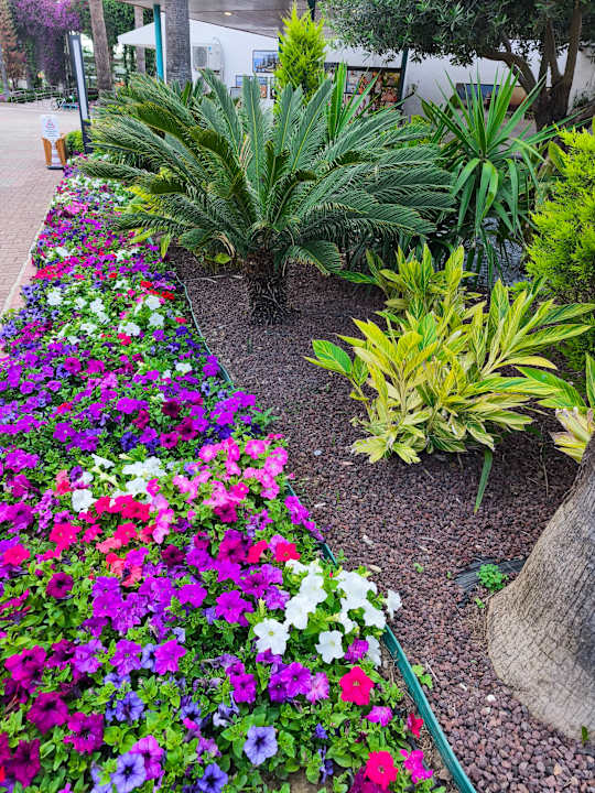 Gartenanlage VONRESORT Golden Beach