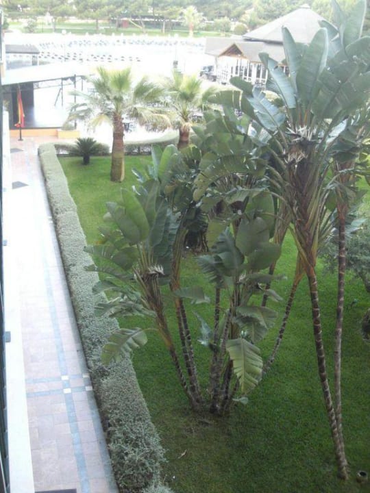 Gartenanlage von Zimmer 2108 Aparthotel Can Picafort Palace