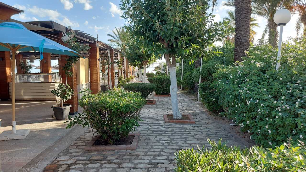 Gastro Sentido Bellevue Park