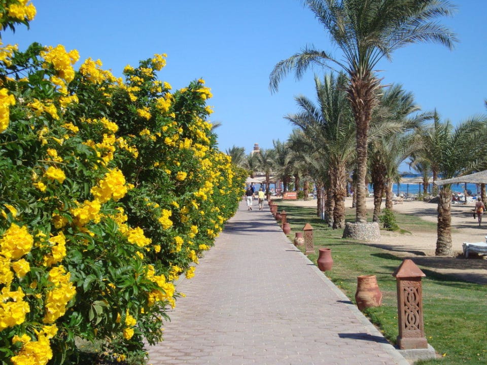 Promenade Fort Arabesque Resort, Spa & Villas