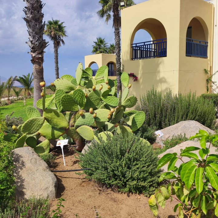 Außenansicht Grecotel Casa Paradiso