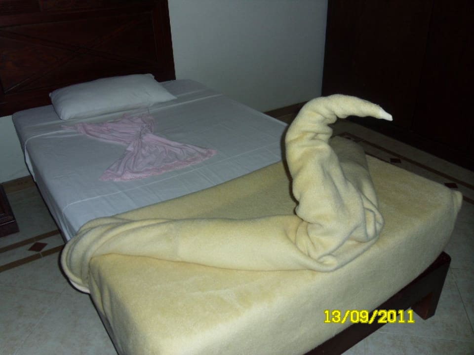 Na powitanie Imperial Shams Abu Soma