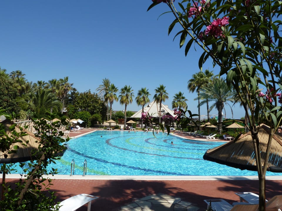 Poolanlage Hotel Defne Garden