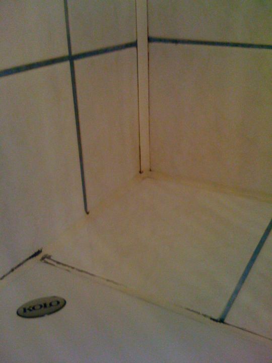 Grzyb w łazience Hotel Novotel Katowice Centrum