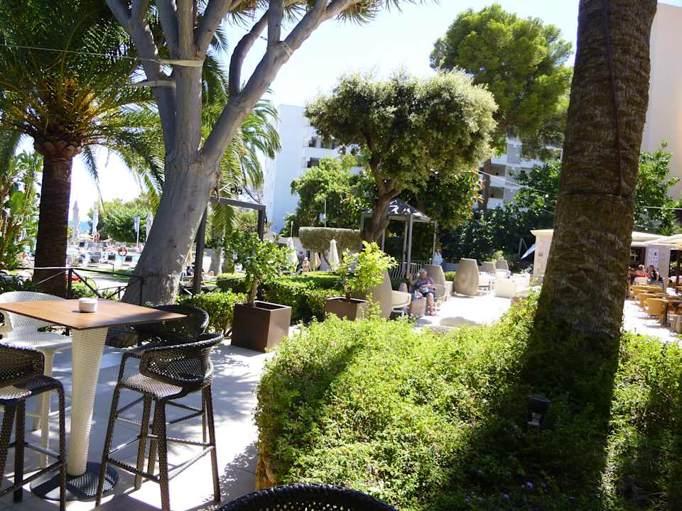 Gartenanlage Hotel Son Caliu Spa Oasis