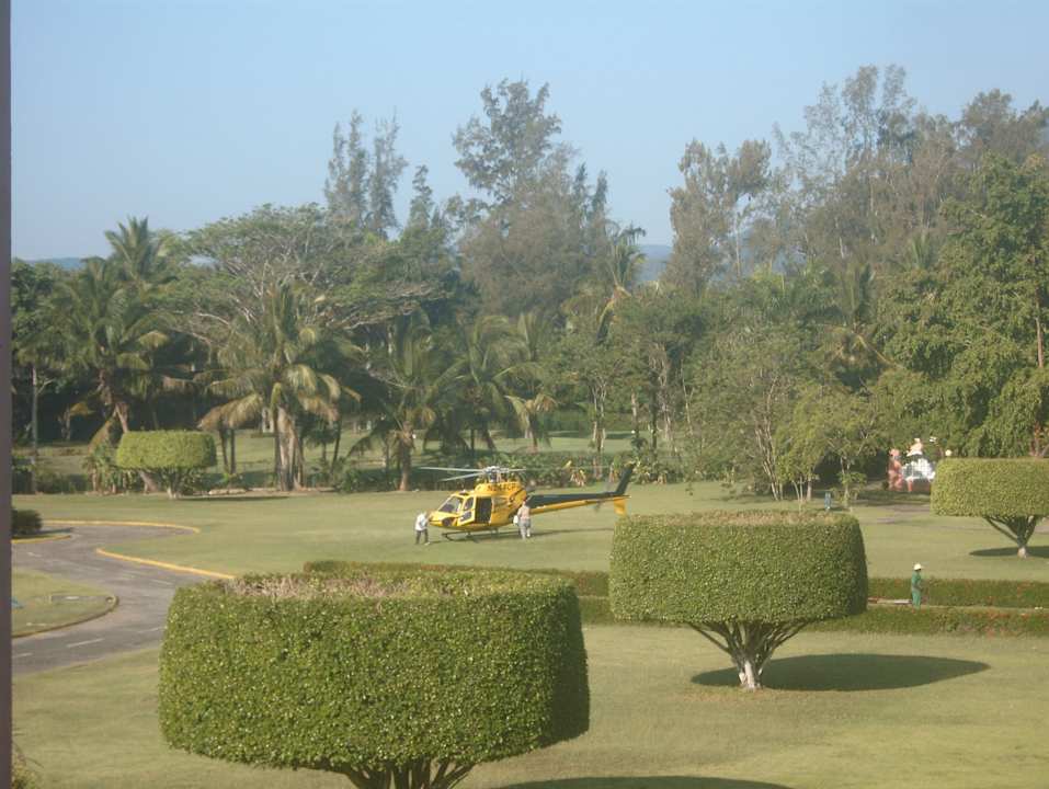 Bäume Puerto Plata Village