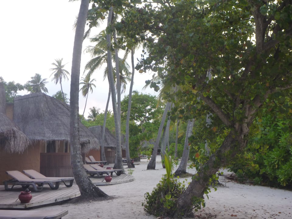 Gardenbungalows Kuredu Island Resort & Spa