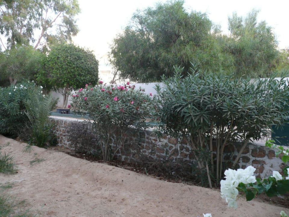 Blick aus dem Zimmer Iris Hotel & Thalasso