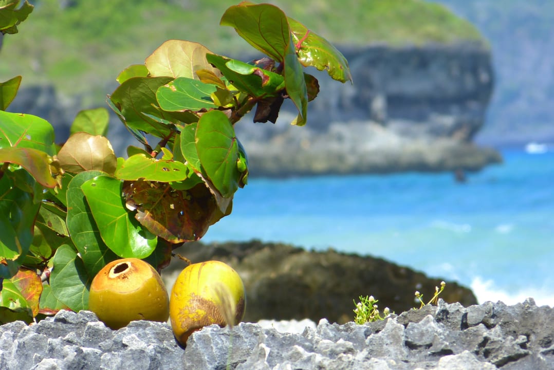 Villa Serena Villa Serena