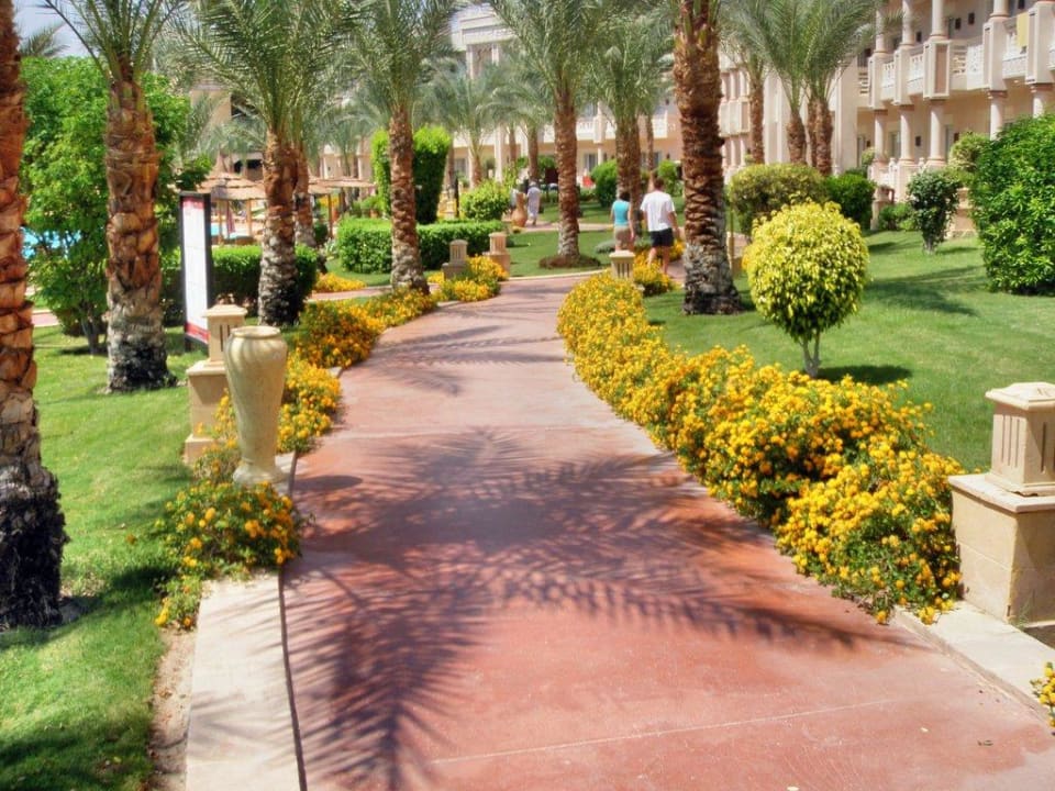 Weg zum Strand Pickalbatros Palace Resort