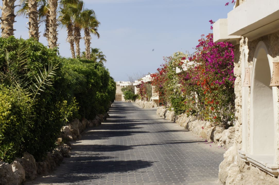 Weg zu den Zimmern Pickalbatros Citadel Resort