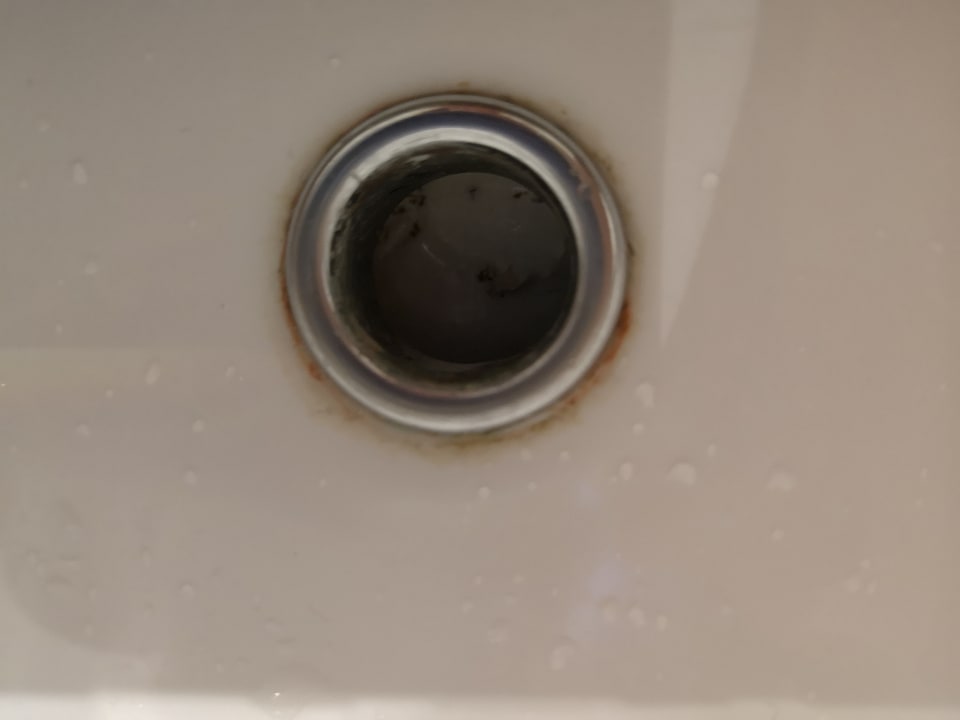 Zimmer Hotel Dorint Venusberg