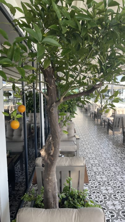 Gastro Aria Resort & Spa