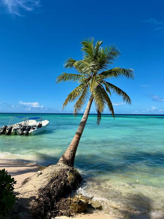 Strand Hotel Viva Dominicus Palace by Wyndham-All Inclusive Resort