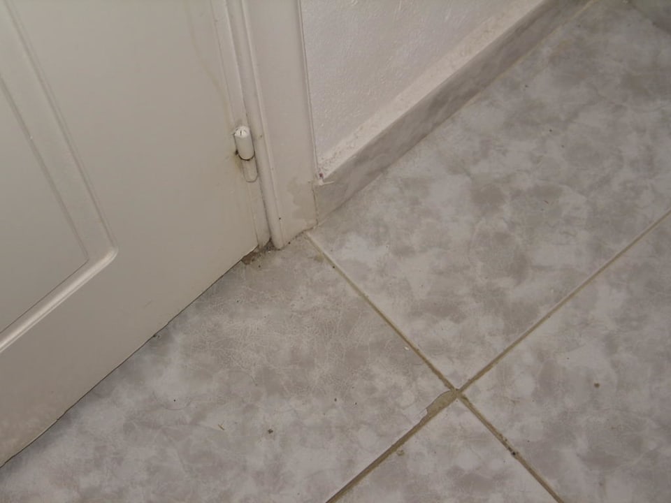 Putzen vergessen? Ekaterini Hotel