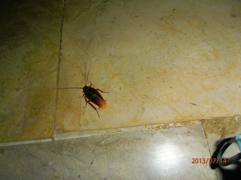 Vor der Toilette Hotel El Mouradi Skanes Beach