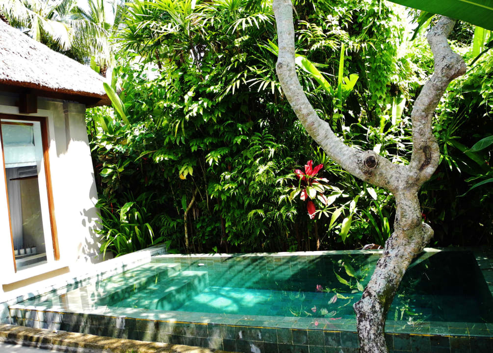 Pool der Villa Maya Ubud Resort & Spa Bali