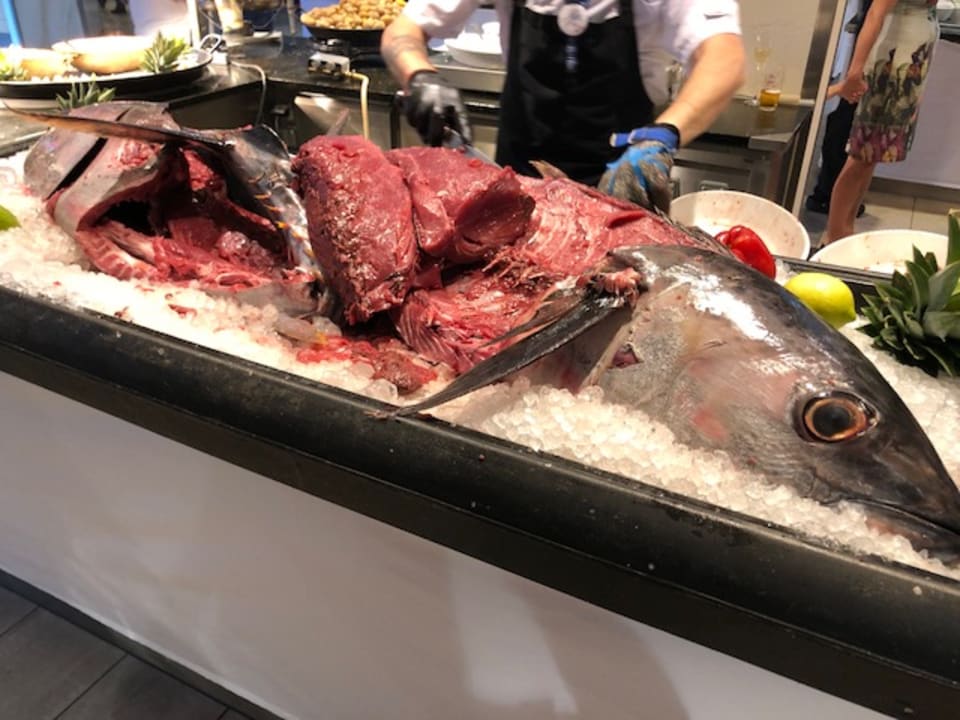 Gastro ROBINSON QUINTA DA RIA