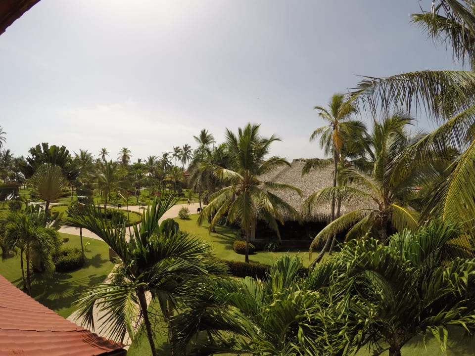 Zimmer Punta Cana Princess All Suites Resort & Spa