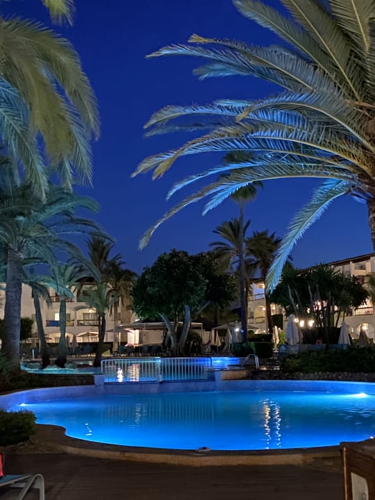 Pool Alcudia Garden Aparthotel