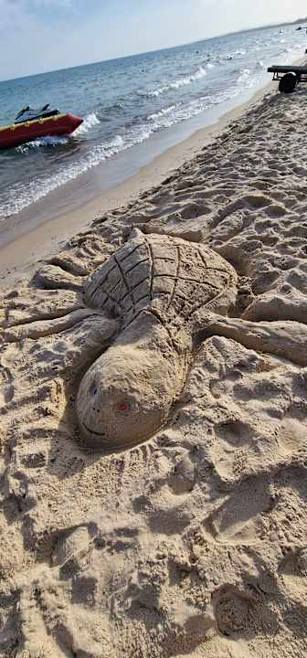 Strand Sentido Phenicia