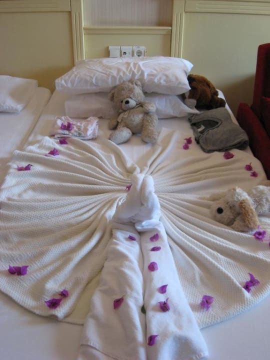 Schwäne auf dem Bett Hane Family Resort