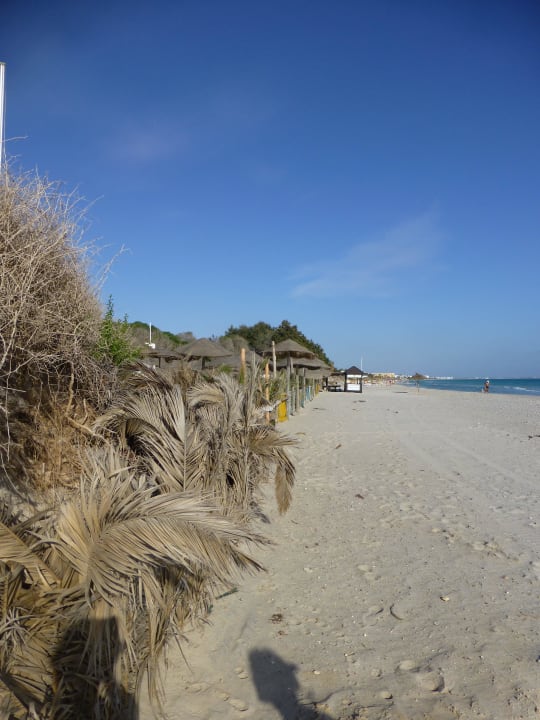 Karibik Flair El Mehdi Beach Resort