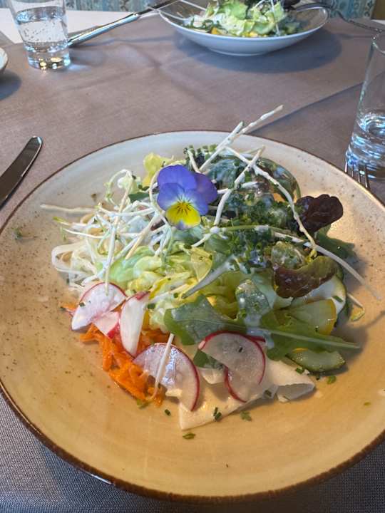 Gastro Pension Zum Jäger