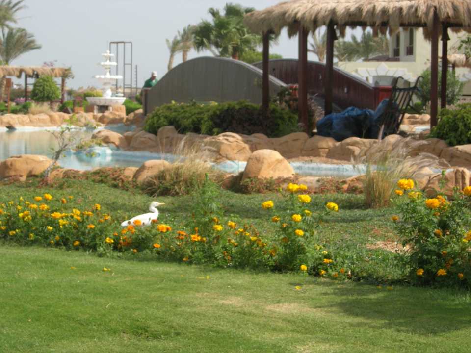 Красота! Regency Plaza Aqua Park & Spa