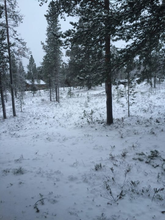 A wake up photo from the bed. Hotel Saariselkaa Inn